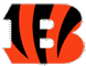 CINCINNATI BENGALS