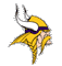 MINNESOTA VIKINGS